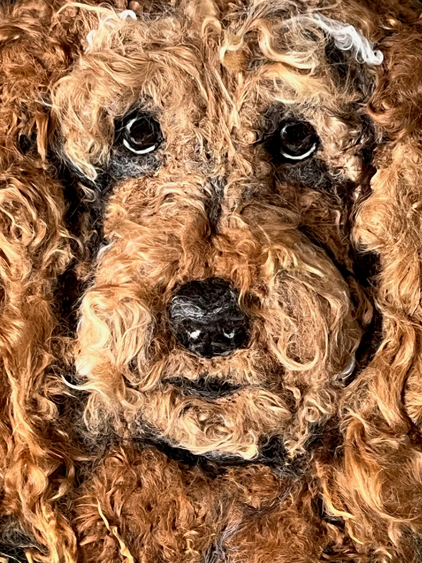 FP311 Felted Doodle Dog Portrait (11x15) | Suri Alpaca Fiber Art