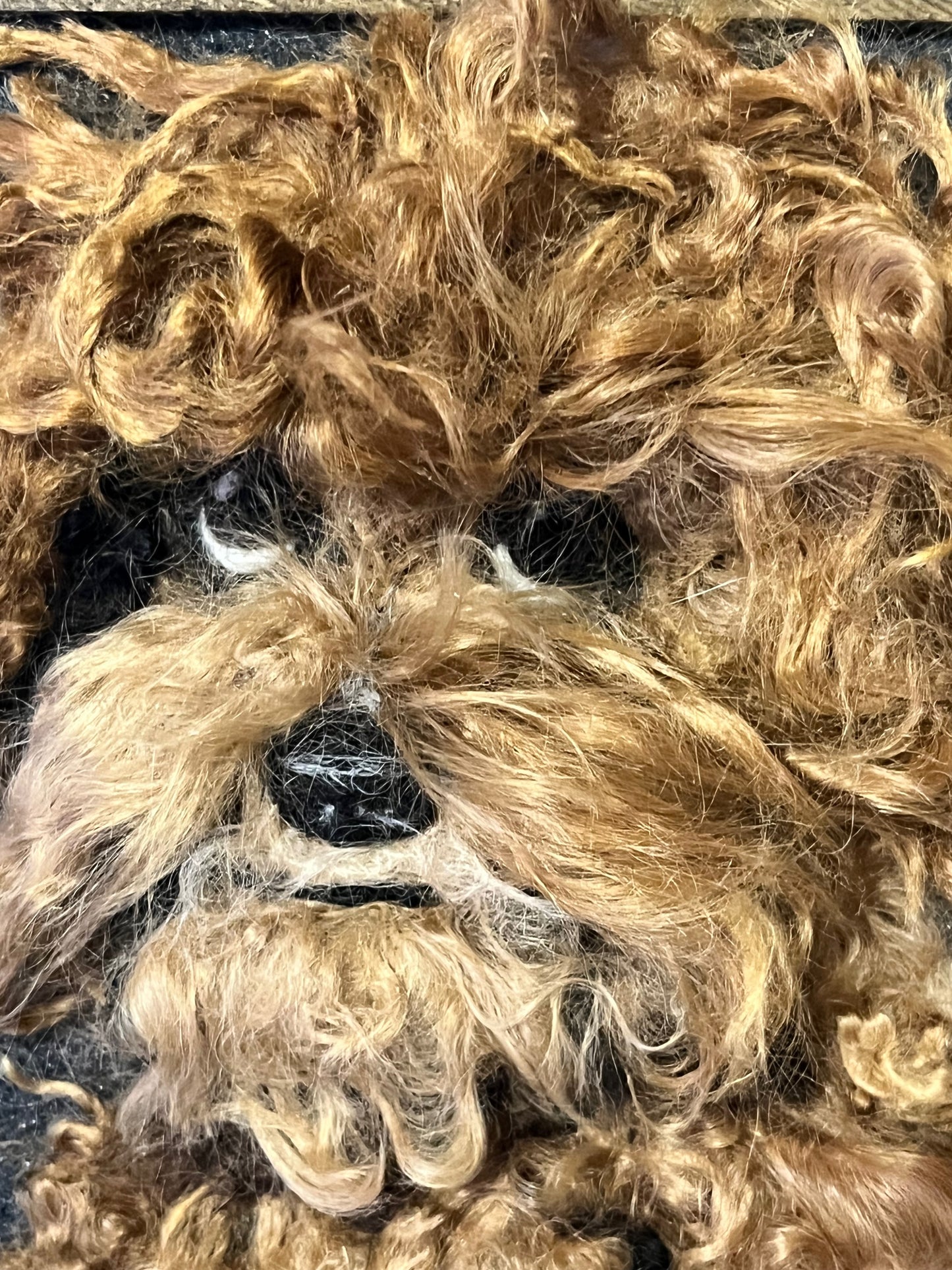 FP312 Felted Doodle Puppy Dog Portrait (11x13) | Suri Alpaca Fiber Art