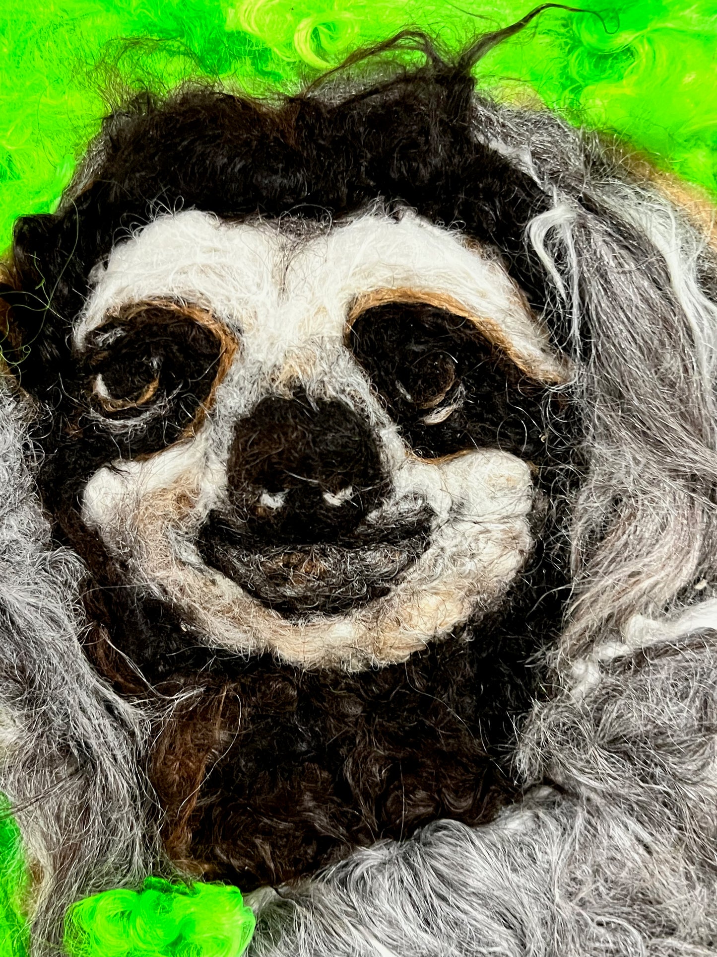 FP155 Felted Sloth Portrait (10x12) | Suri Alpaca Fiber Art